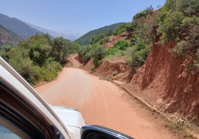 Drive Your Own Adventure. We’ve Got Your Back.