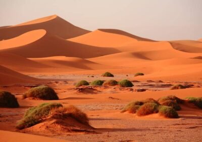 Morocco Entry Requirements & Self-Drive 4×4 Border Essentials